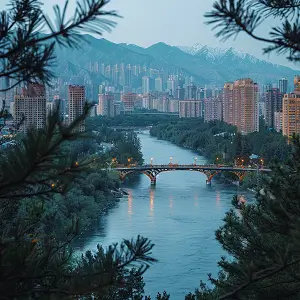 介绍检测服务公司